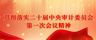 贯彻落实二十届中央审计委员会第一次会议精神